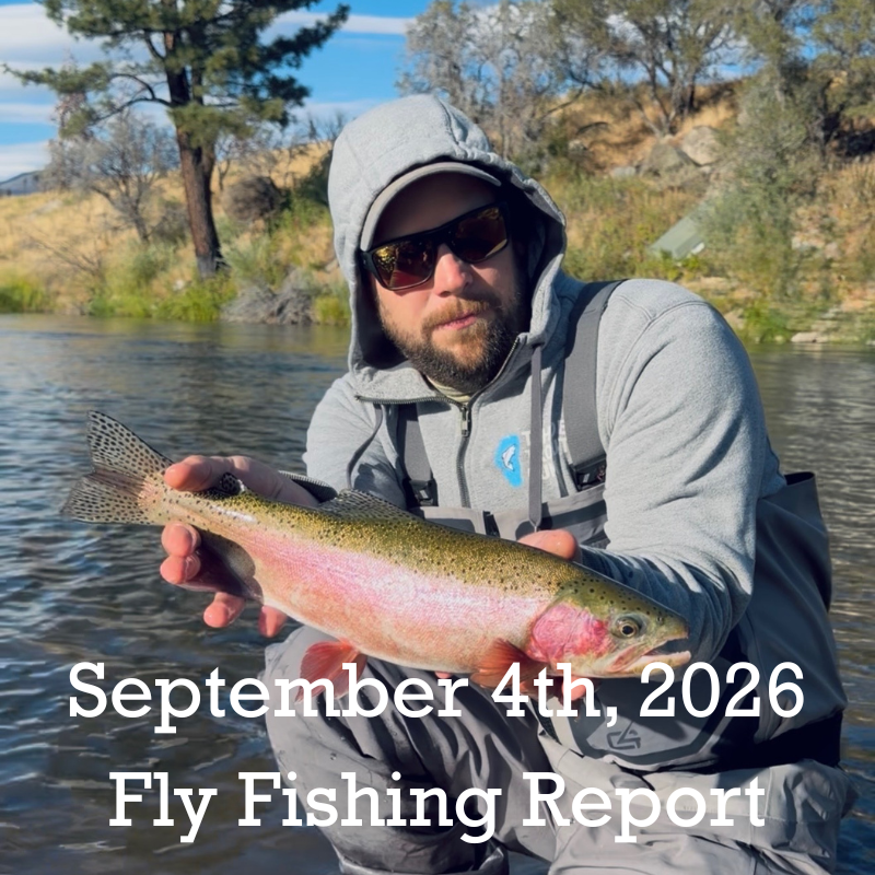 September 4th Fly Fishing Report for the Truckee River, Little Truckee River