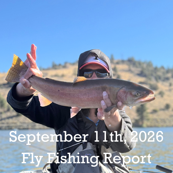 September 11th Fly Fishing Report for the Truckee River, Little Truckee River