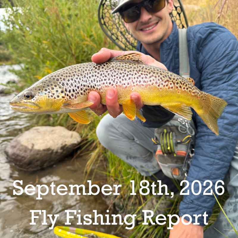 September 18th Fly Fishing Report for the Truckee River, Little Truckee River