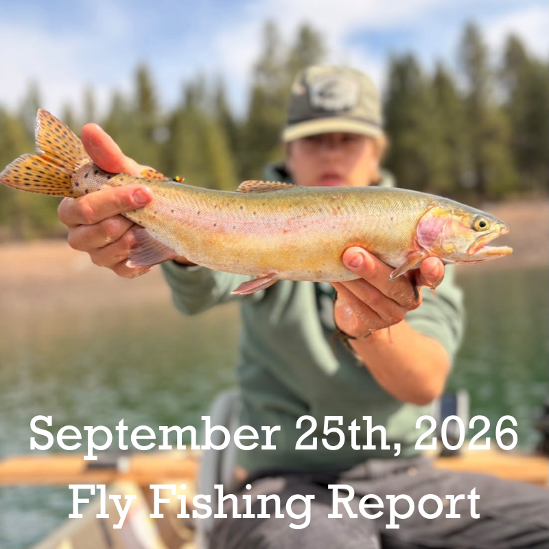 September 25th Fly Fishing Report for the Truckee River, Little Truckee River