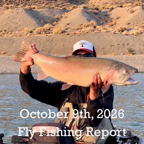 October 9th Fly Fishing Report for the Truckee River, Little Truckee River and Pyramid Lake