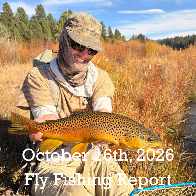 October 16th Fly Fishing Report for the Truckee River, Little Truckee River and Pyramid Lake