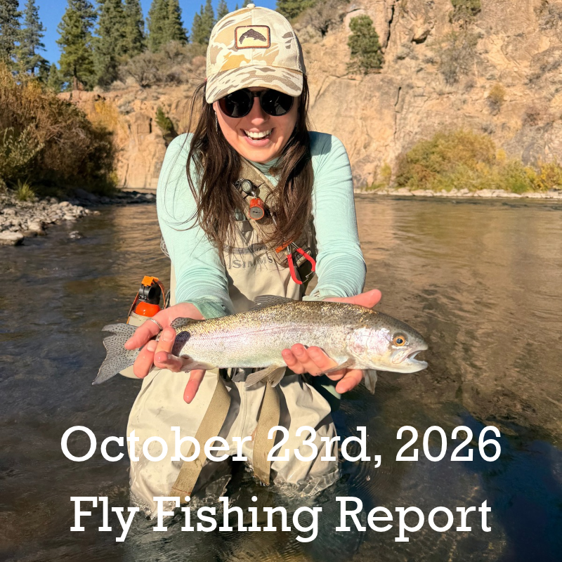October 23rd Fly Fishing Report for the Truckee River, Little Truckee River and Pyramid Lake