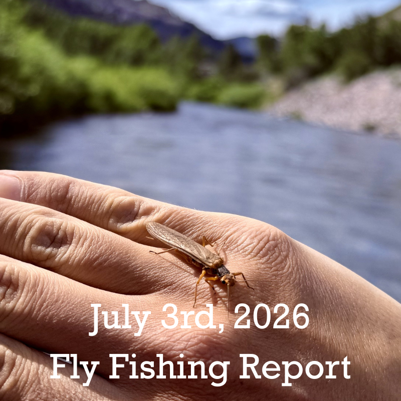 July 3rd Fly Fishing Report for the Truckee River, Little Truckee River