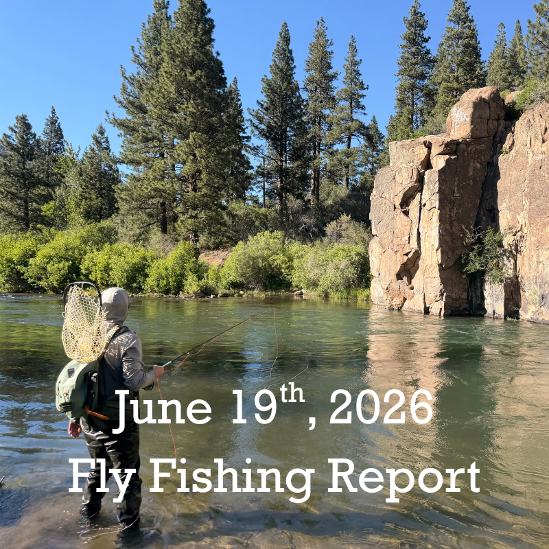June 19th Fly Fishing Report for the Truckee River, Little Truckee River