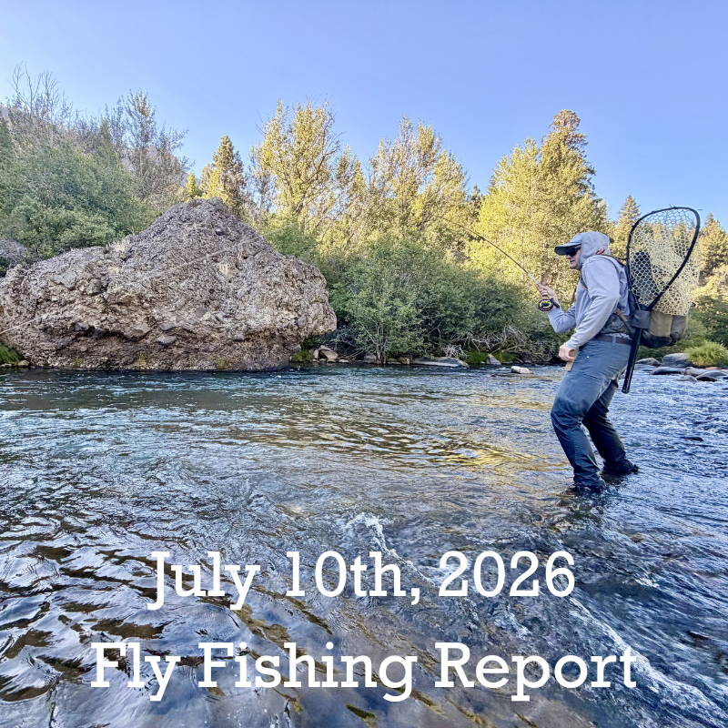 July 10th Fly Fishing Report for the Truckee River, Little Truckee River