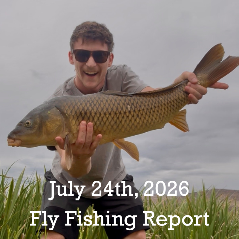 July 24th Fly Fishing Report for the Truckee River, Little Truckee River