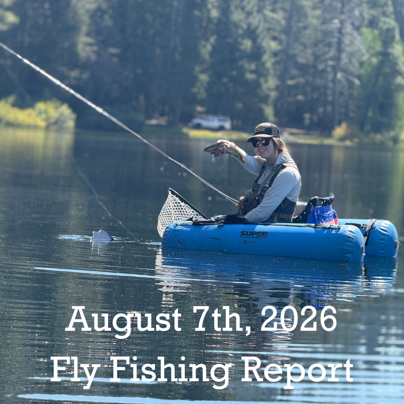 August 7th Fly Fishing Report for the Truckee River, Little Truckee River