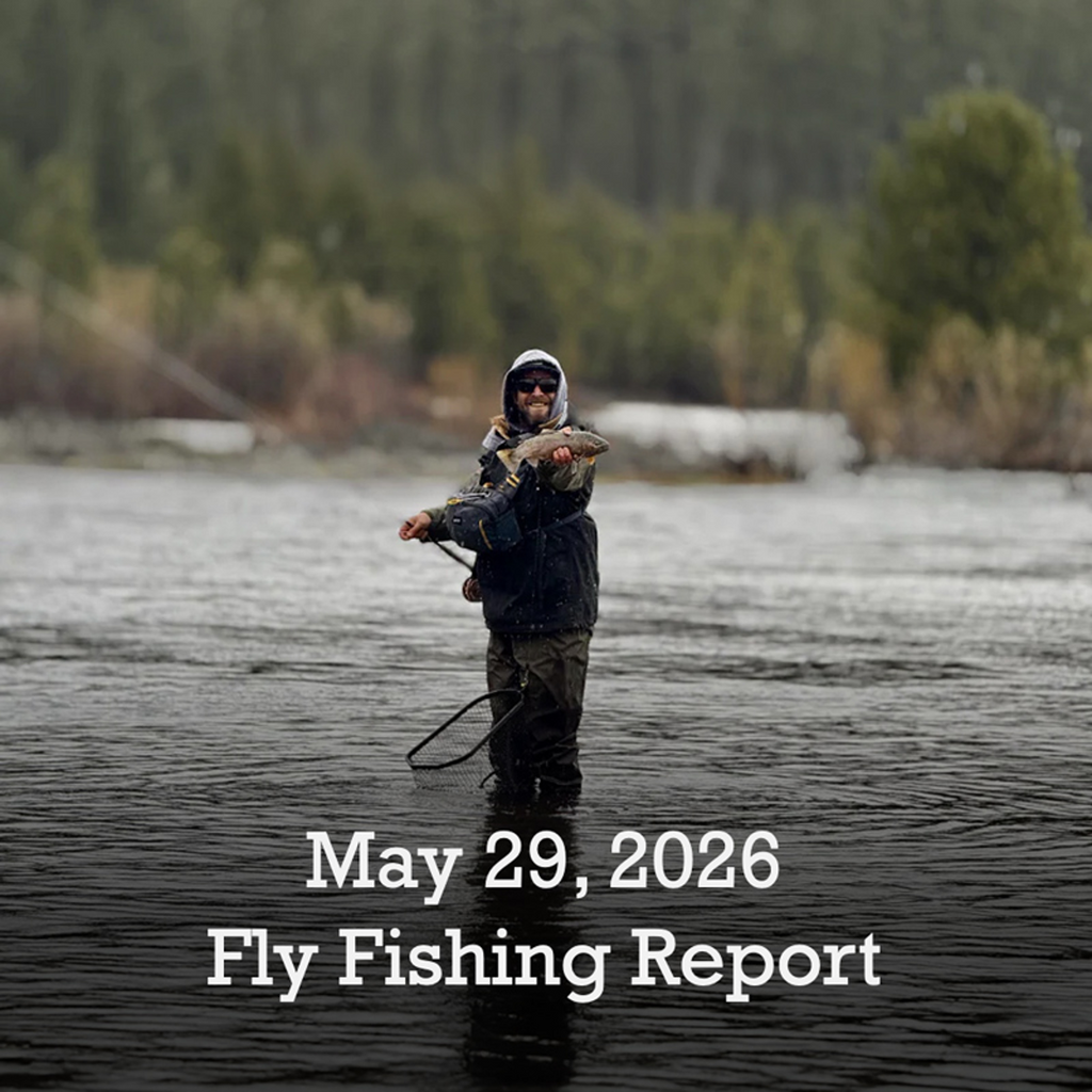 May 29th Fly Fishing Report for the Truckee River, Little Truckee River