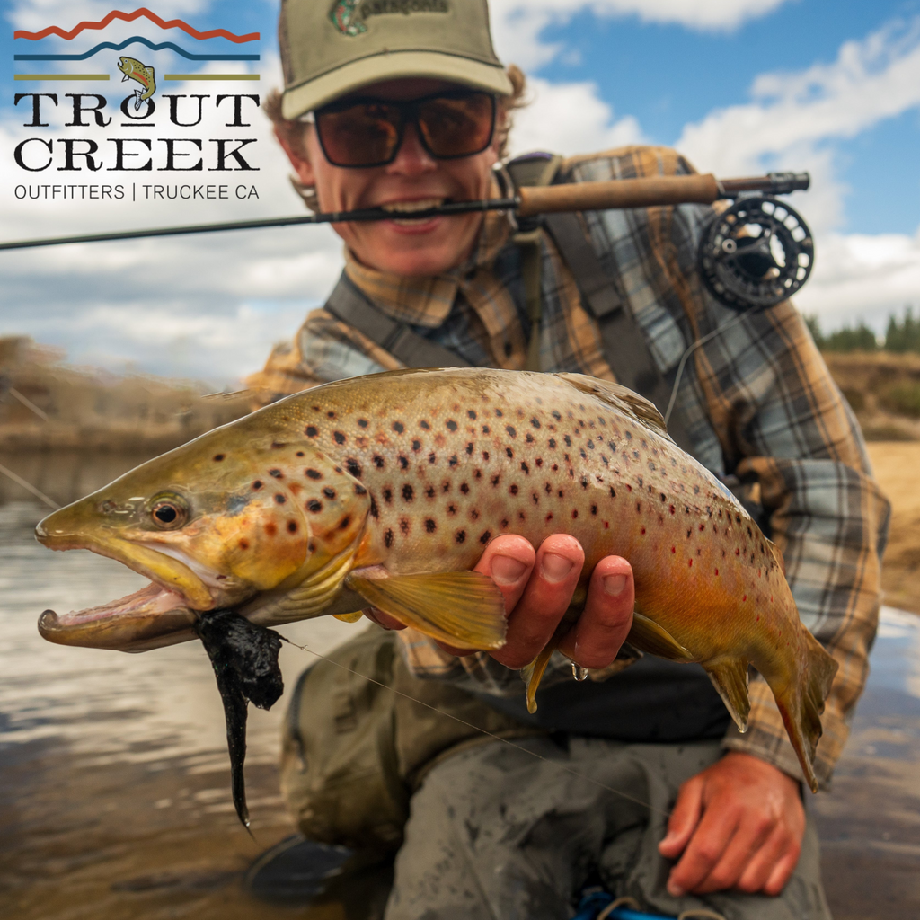 May 15th Fly Fishing Report for the Truckee River, Little Truckee River