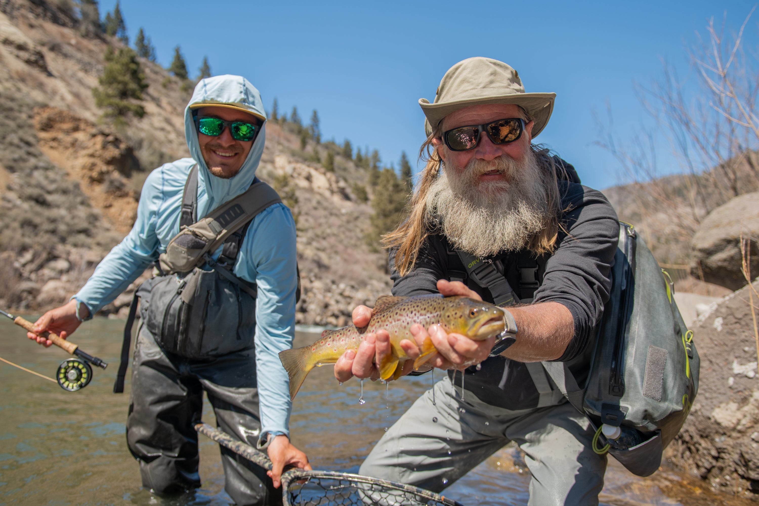 Summer Dry Flies