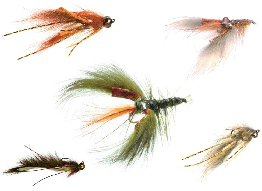 Crawdad Patterns