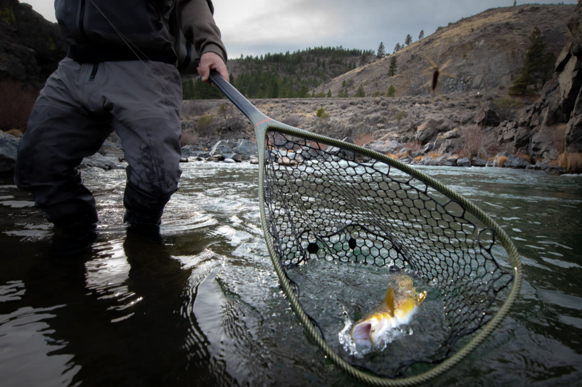 Fishpond Nets