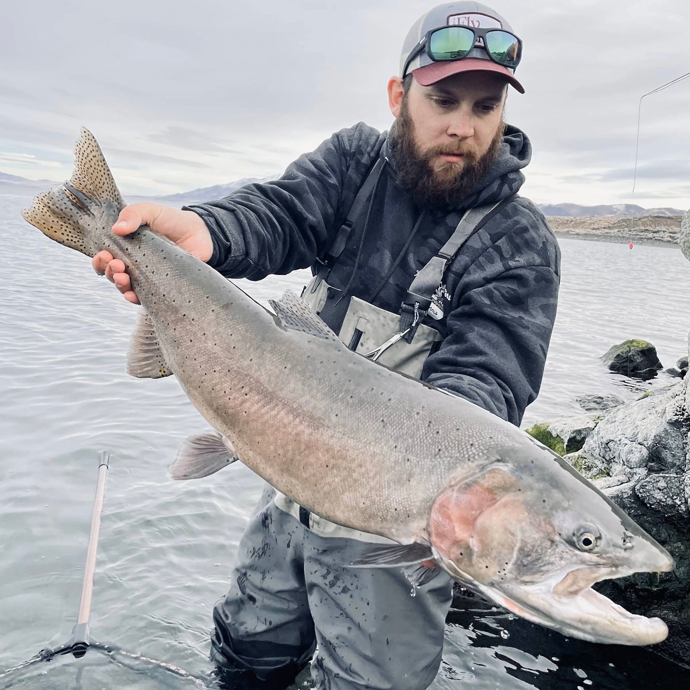 Mid-Range Rod & Reel Combo