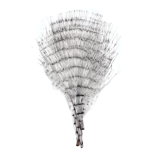 MFC Fine Barred Marabou