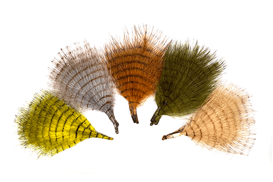 MFC Fine Barred Marabou