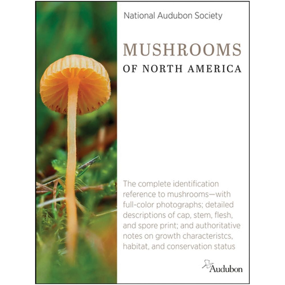 Mushrooms of North American