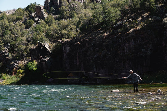 Sage Arrow Fly Rod