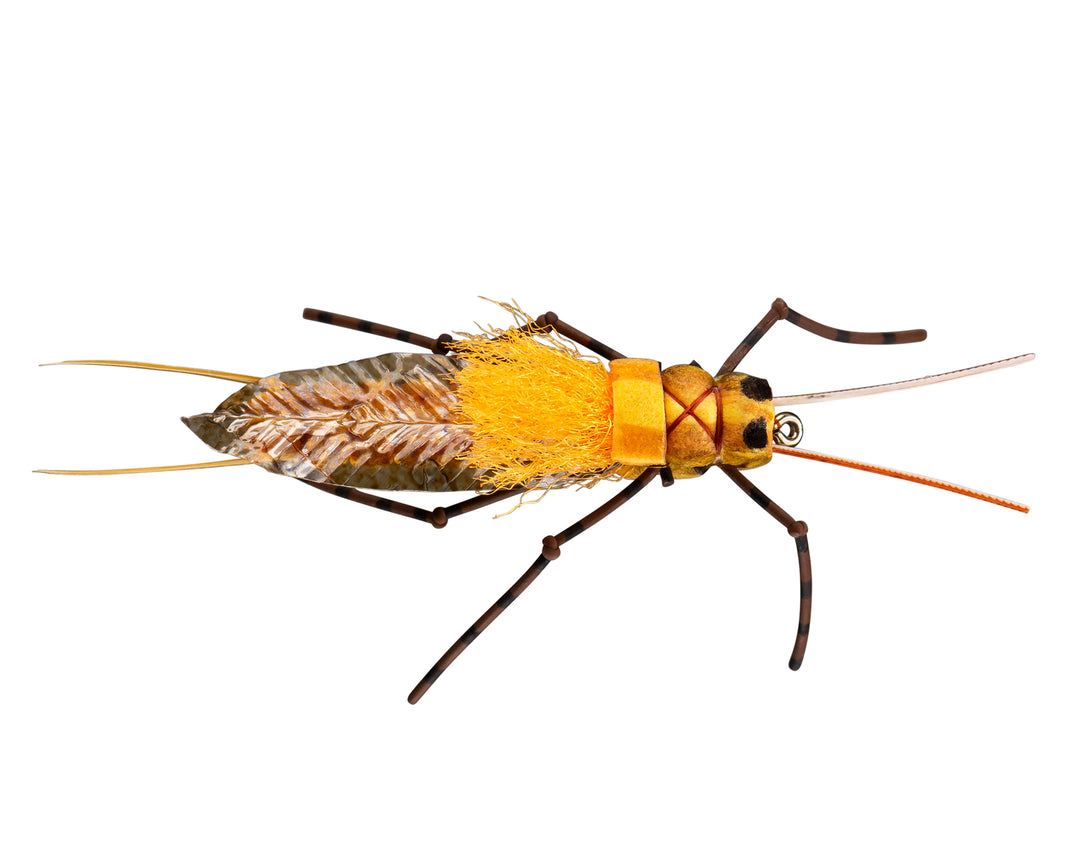 RIO's Morrish Still Stone