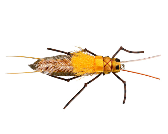 RIO's Morrish Still Stone