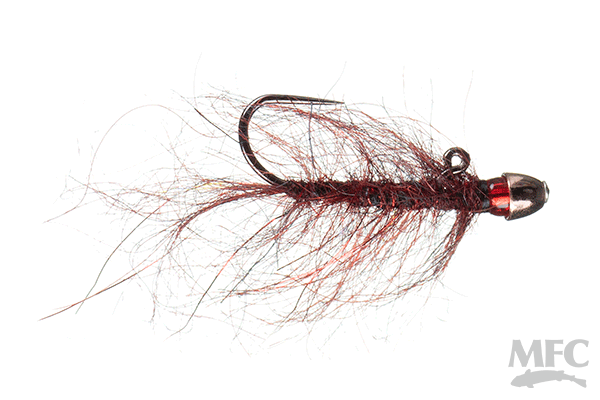 MFC Chan's Balanced Ruby-Eyed Leech