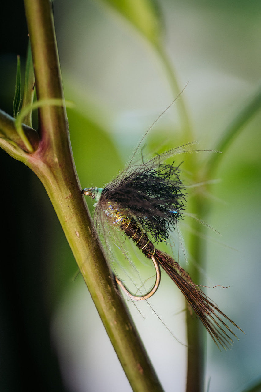 Umpqua 3 Mile Green Drake