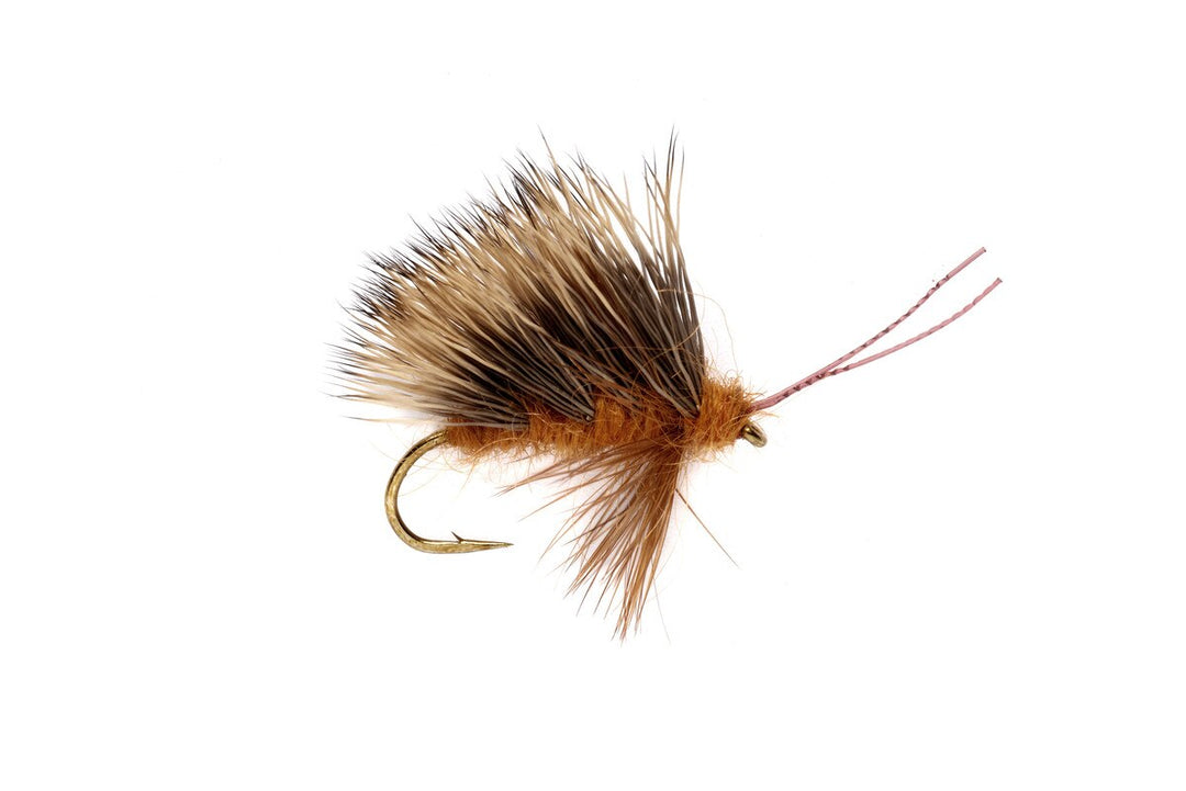 Fulling Mill Burkus Sedgeback October Caddis