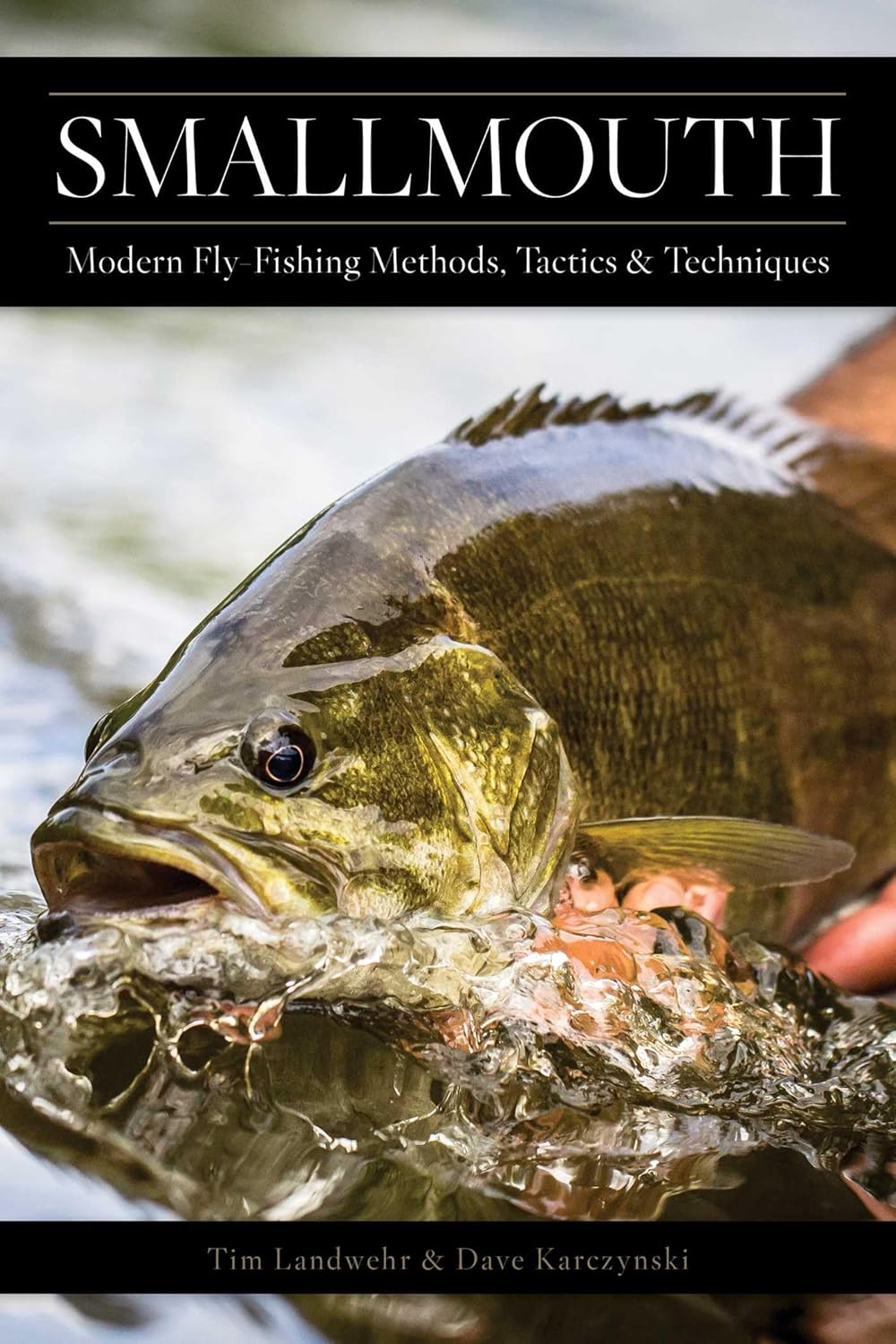 Smallmouth Modern Fly Fishing Methods