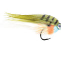  Bluegill