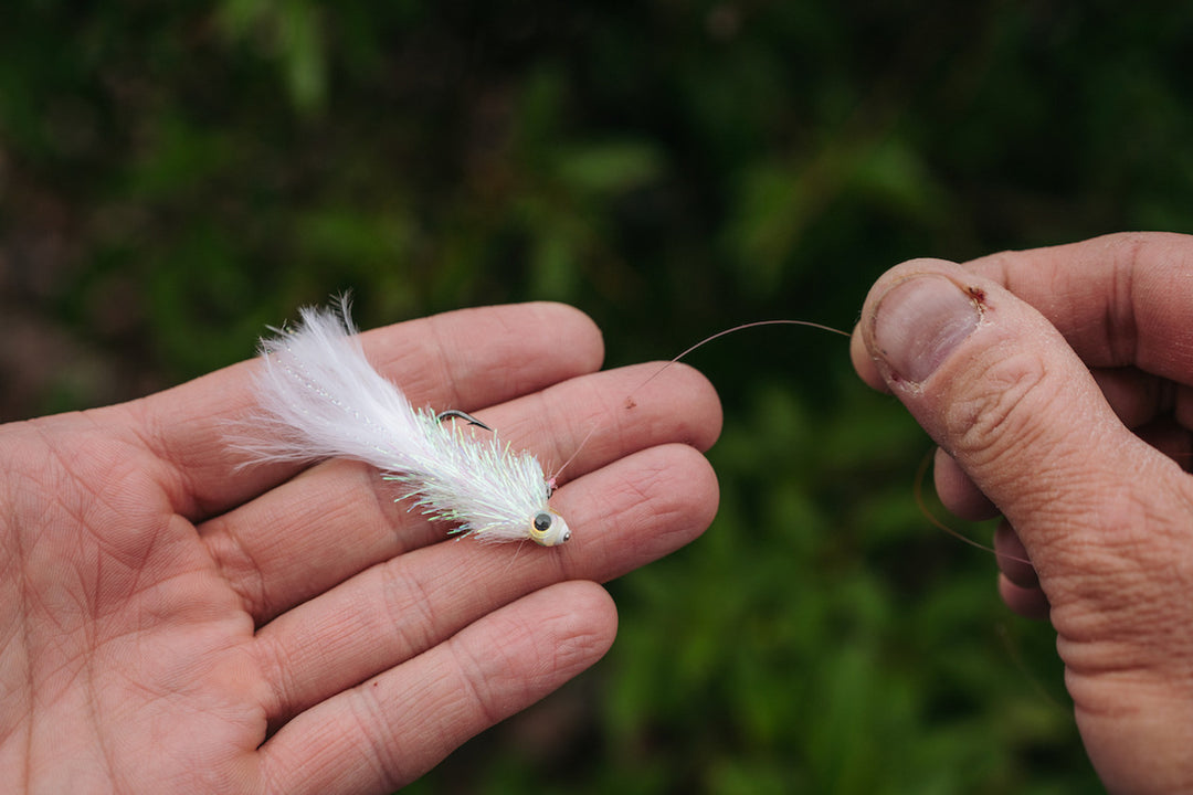 Balanced $ Minnow