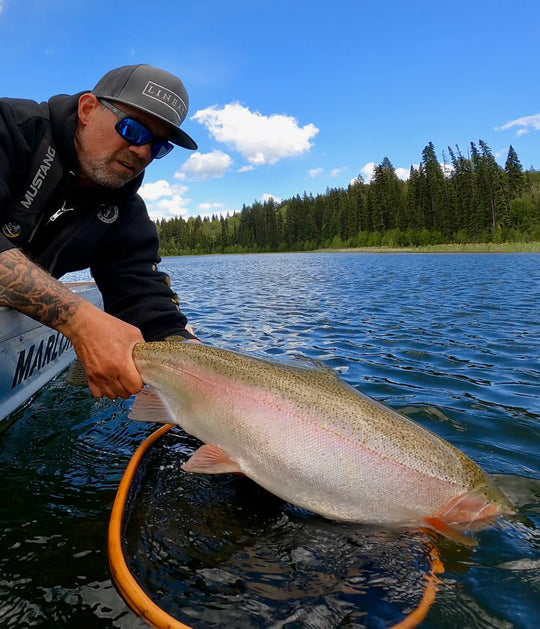 Aquatalon Chironomid Ambush Hook ATH5750 - 25 pack