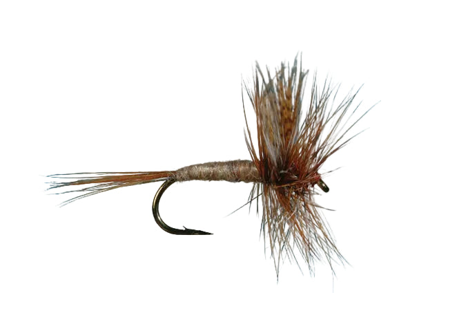 Solitude's March Brown