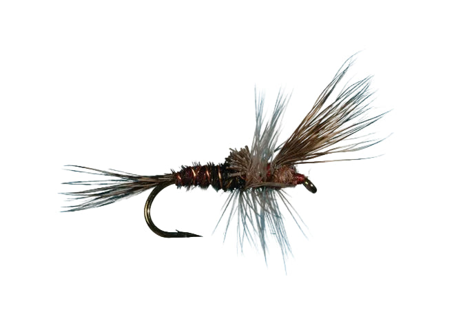 Solitude's March Brown Cripple