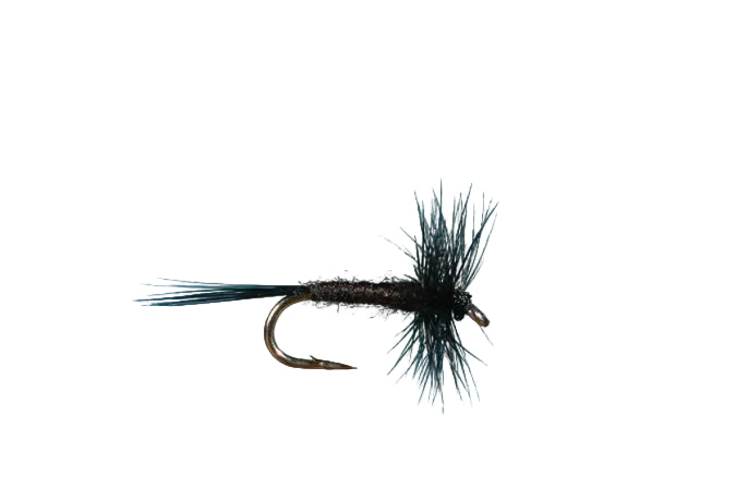 Solitude Midge Adult
