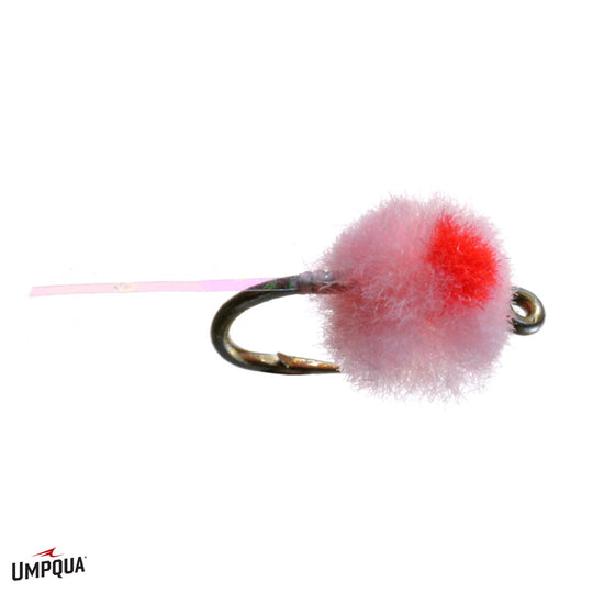 Umpqua Flashtail Egg