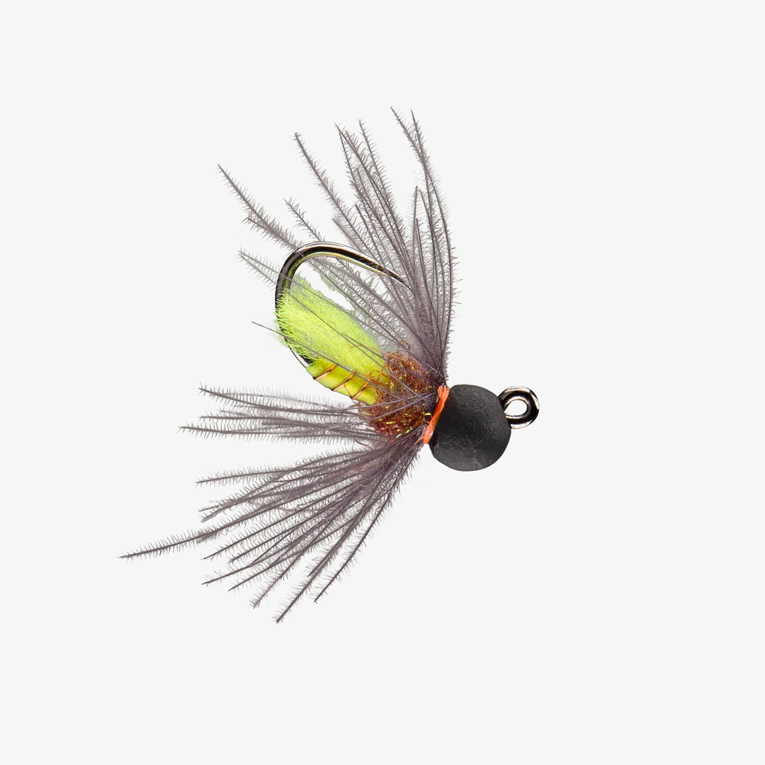 Rio's Rock Grinder