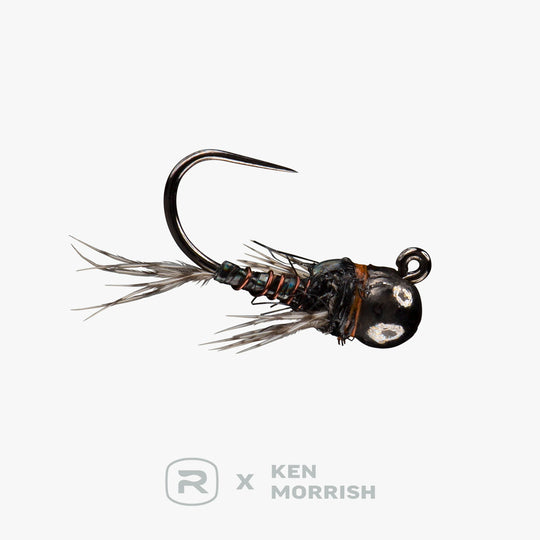 Rio's Morrish Sparkle Donkey