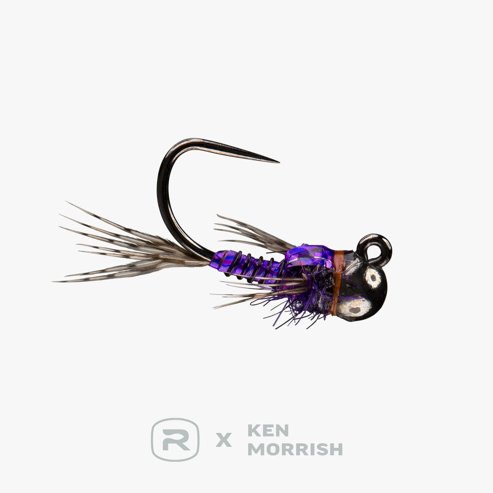 Rio's Morrish Sparkle Donkey