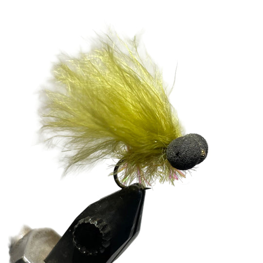 Umpqua Sexton's Booby