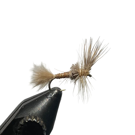 Umpqua Mayfly Cripple