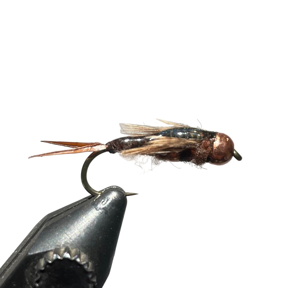 Umpqua Two Bit Stone