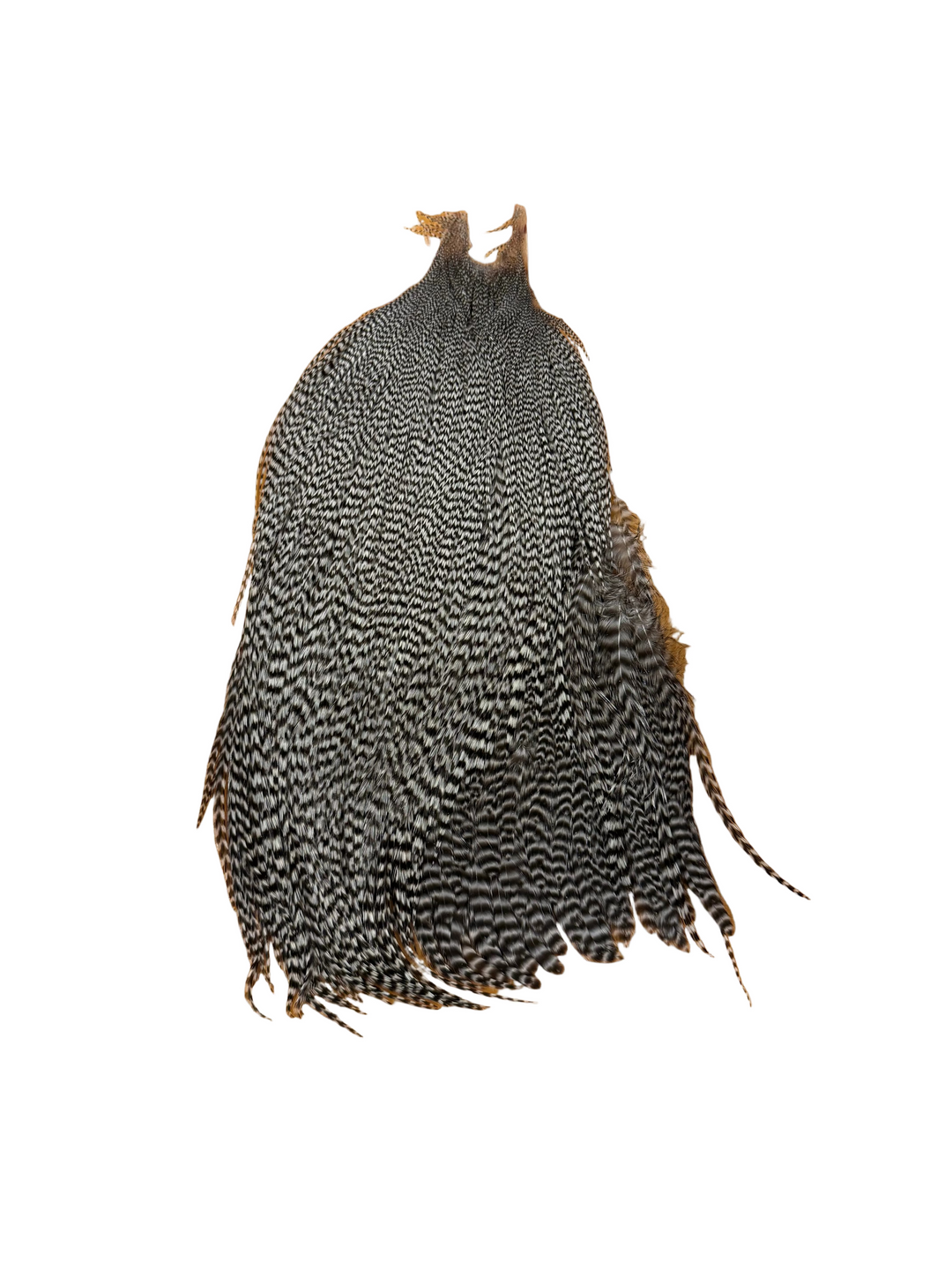 Metz Neck Hackle