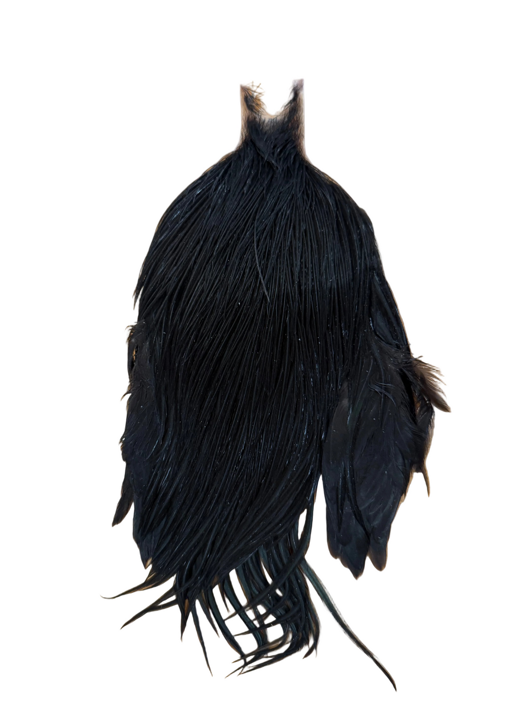 Metz Neck Hackle