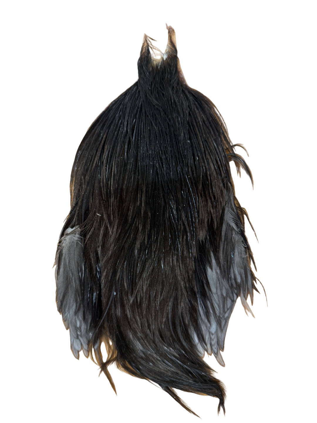 Metz Neck Hackle