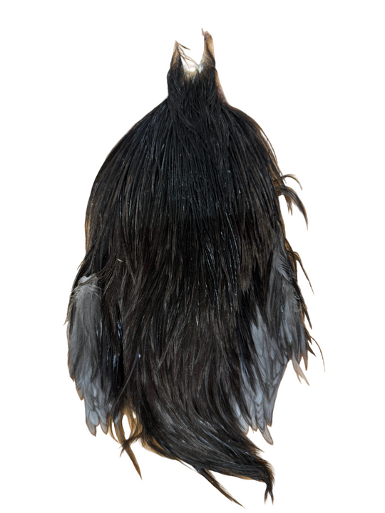 Metz Neck Hackle