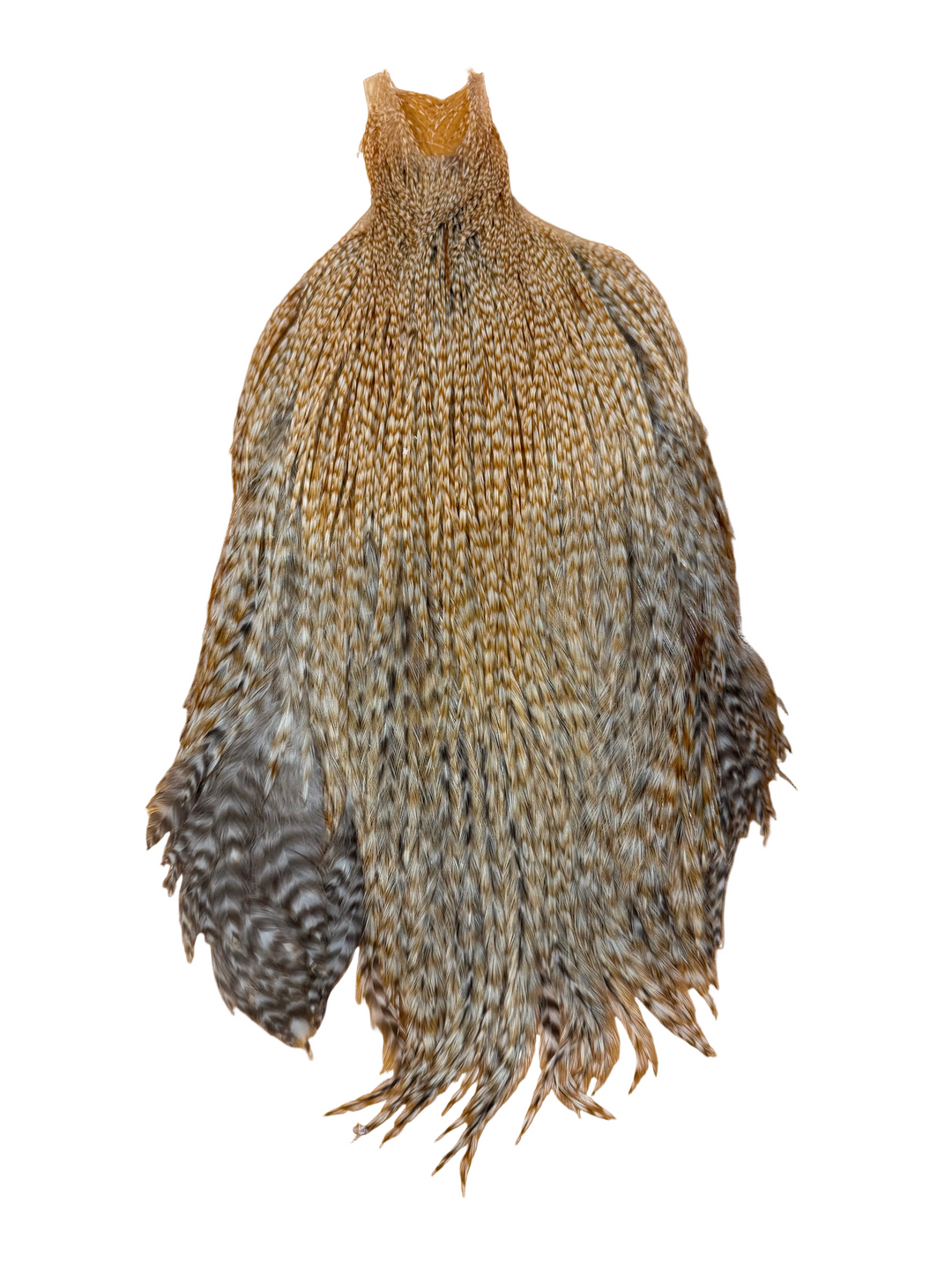 Metz Neck Hackle