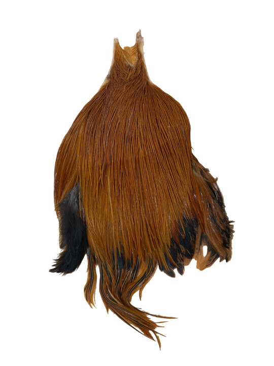 Metz Neck Hackle