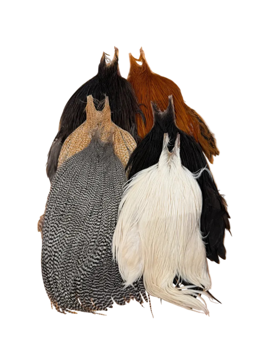 Metz Neck Hackle