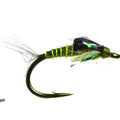  Olive #18