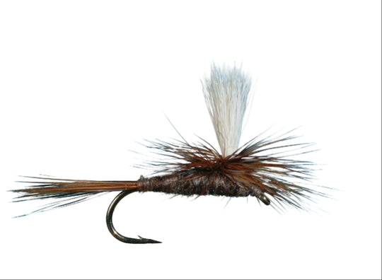 Solitude Parachute Adams